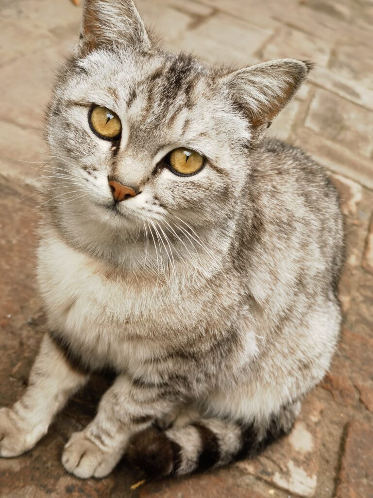 评论图片-小圈子