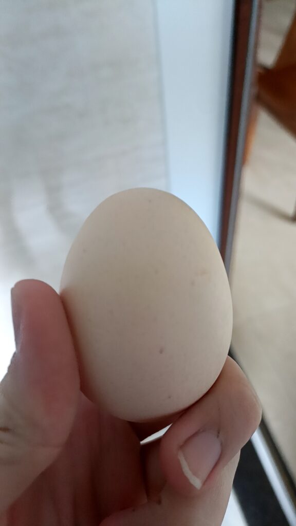 评论图片-小圈子