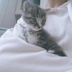 莫孤的头像-小圈子